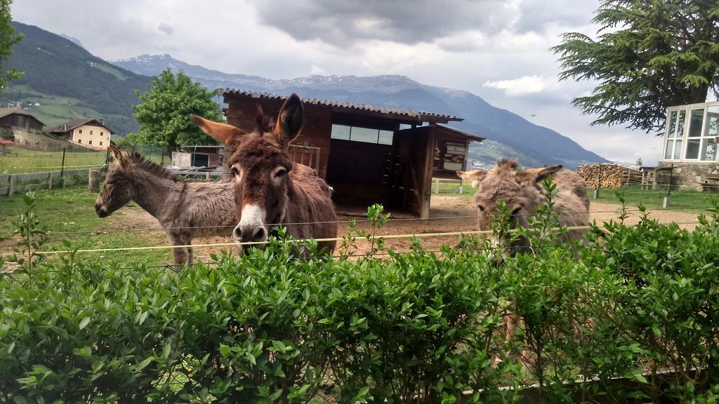 Dillerhof Lägenhet Laion Exteriör bild
