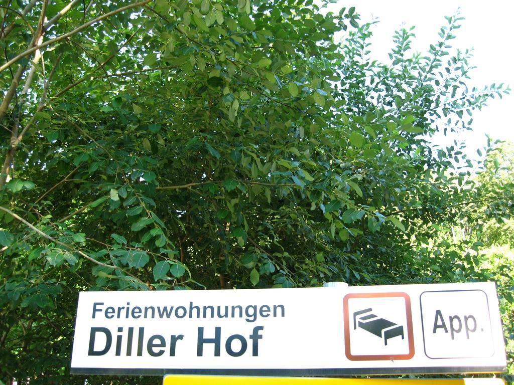 Dillerhof Lägenhet Laion Exteriör bild