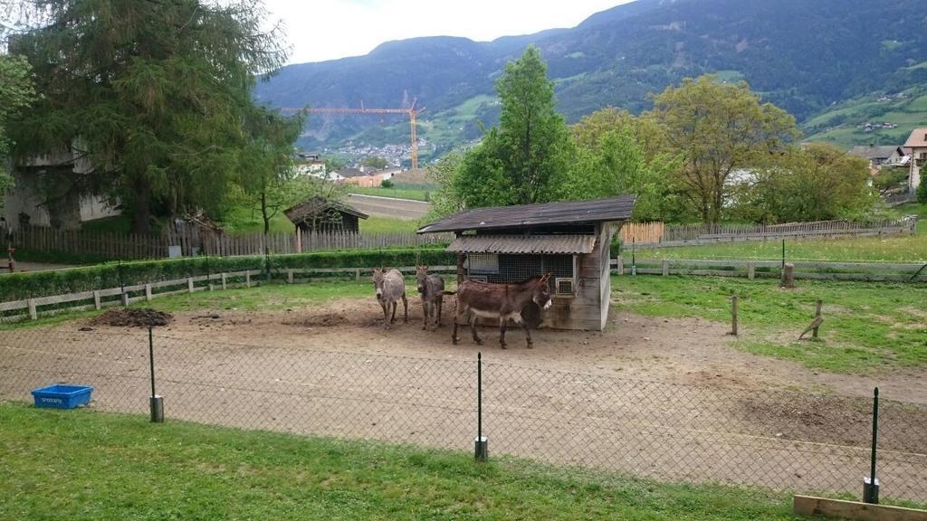 Dillerhof Lägenhet Laion Exteriör bild