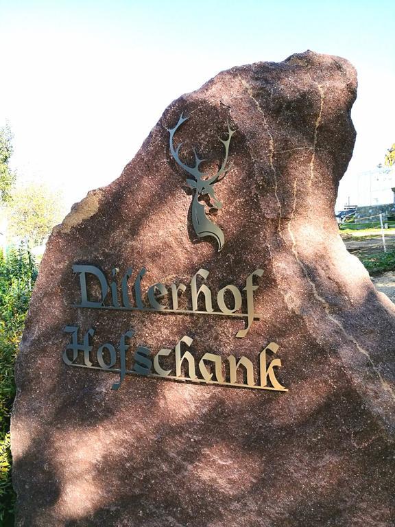 Dillerhof Lägenhet Laion Exteriör bild